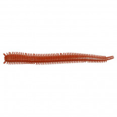 Isome Ragworm 15Pcs 11Cm for Esche artificiali