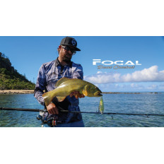 Canna FOCAL Spin for Canne Da Pesca